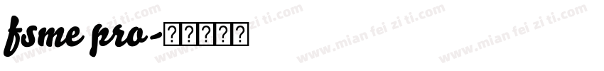 fsme pro字体转换